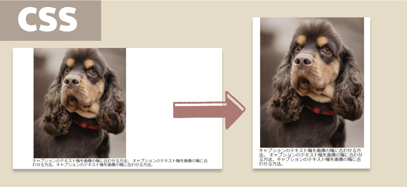 CSS｜キャプション（テキスト）の幅を画像の幅に合わせる方法